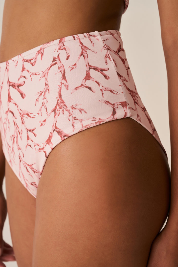 Hot Pants Coral Reef