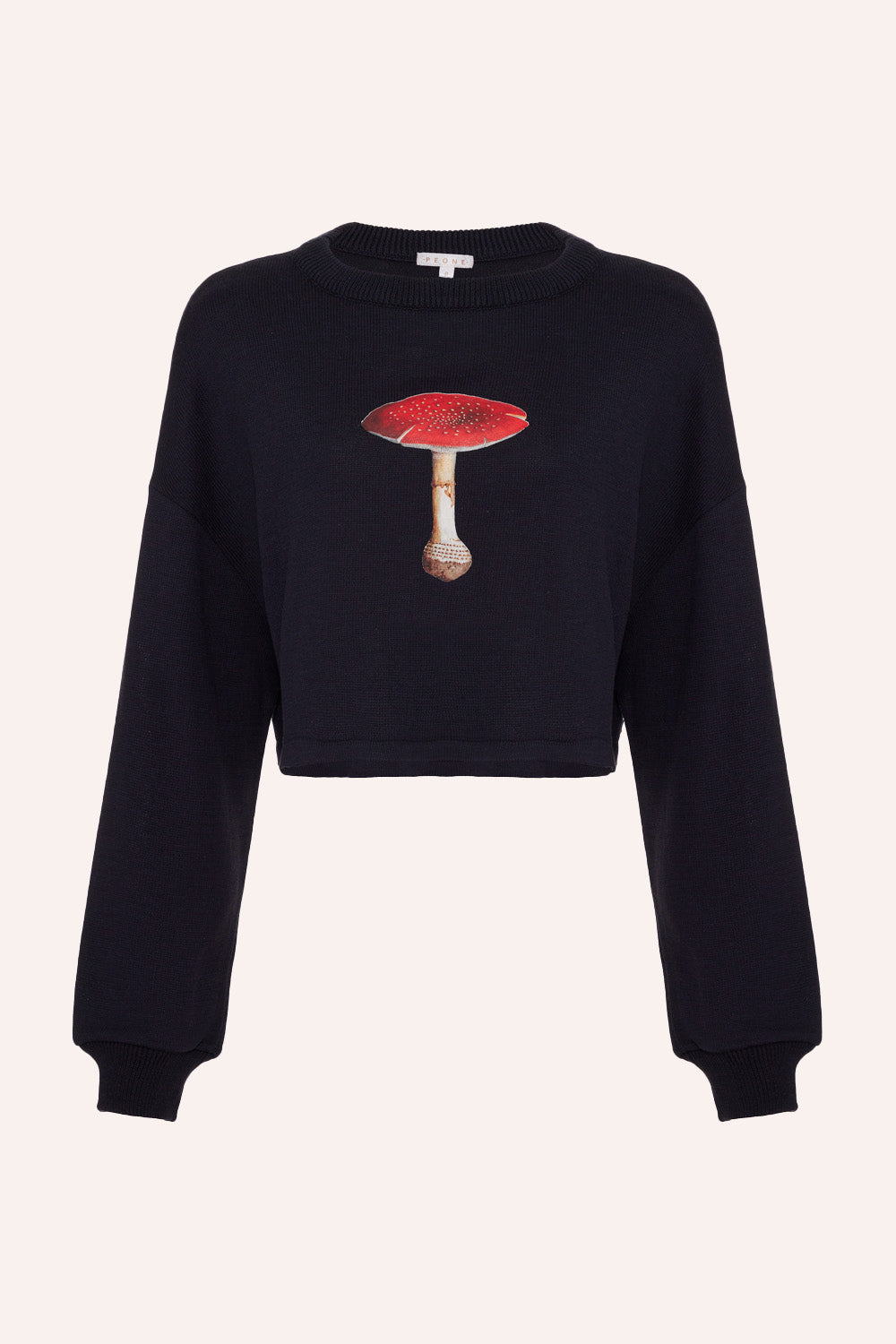 Tricot Mushroom