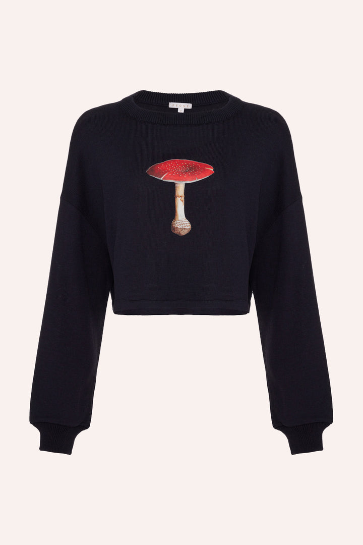 Tricot Mushroom