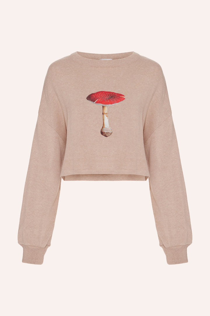 Tricot Mushroom